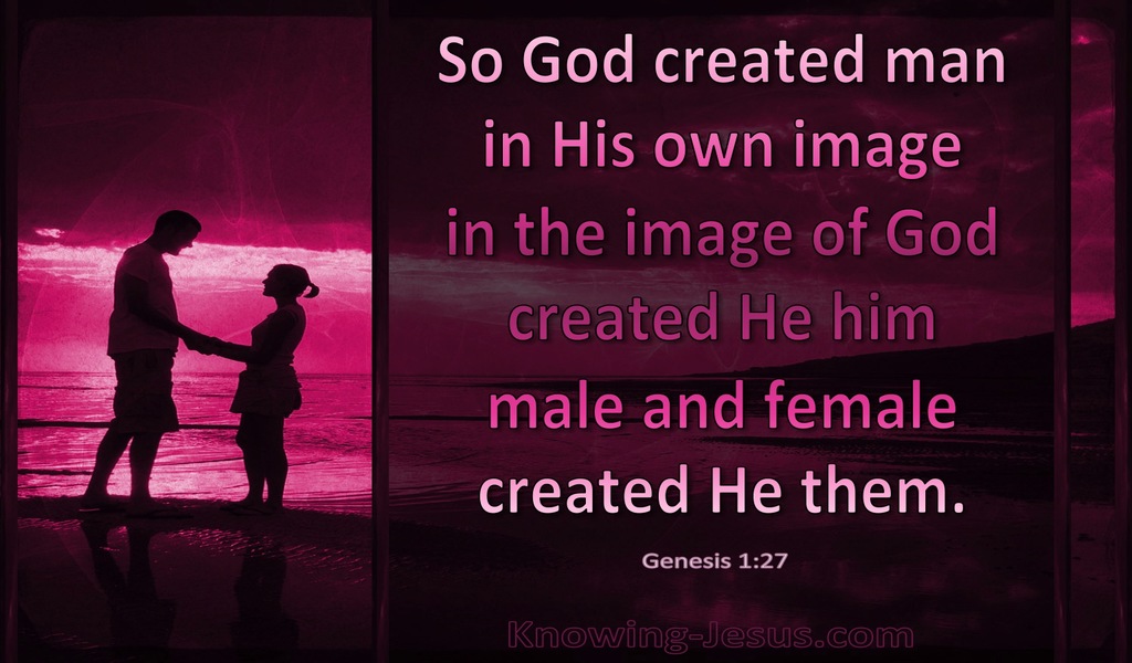 Genesis 1:27 God Created Man In His Own Image (pink)